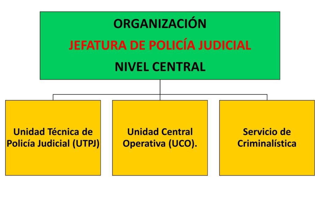 Organización de la Jefatura Policial a nivel central Criminalística