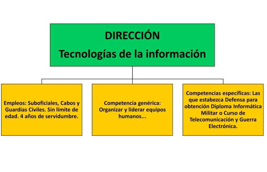 Dirección Tecnologías de la Información (TEIN)