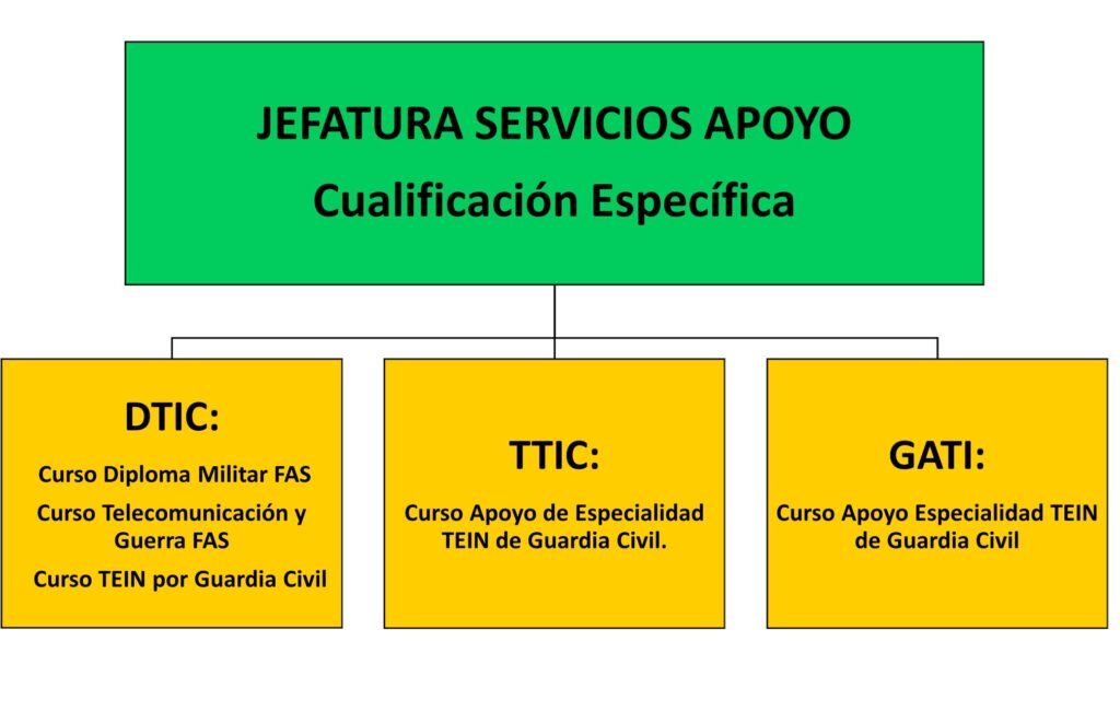 Cualificación específica de la Jefatura de Servicios Técnicos de Tecnologías de la Información (TEIN)