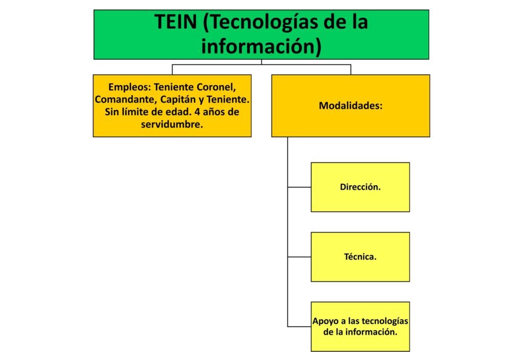 Tecnologías de la Información (TEIN)