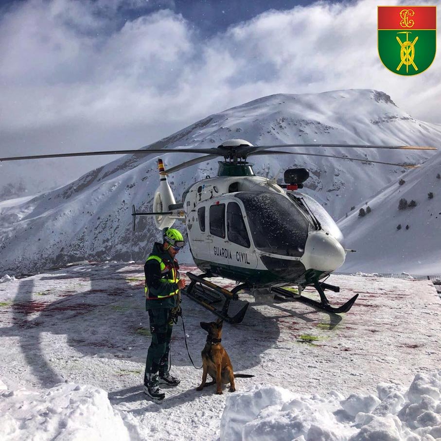 Agente con perro y helicóptero del Servicio de Montaña (GREIM)