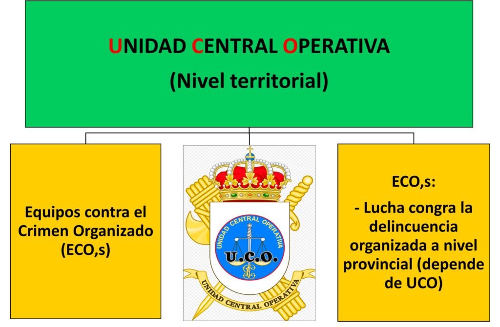 Unidad Central Operativa a nivel territorial del Servicio de Policía Judicial