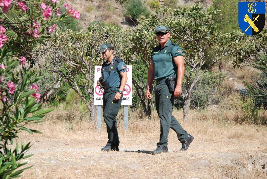 Seguridad Ciudadana patrulla a pie