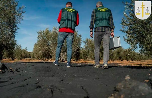 Equipo Roca en acción