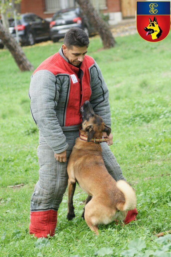 Figurante de la Guardia Civil en adiestramiento de perros de trabajo