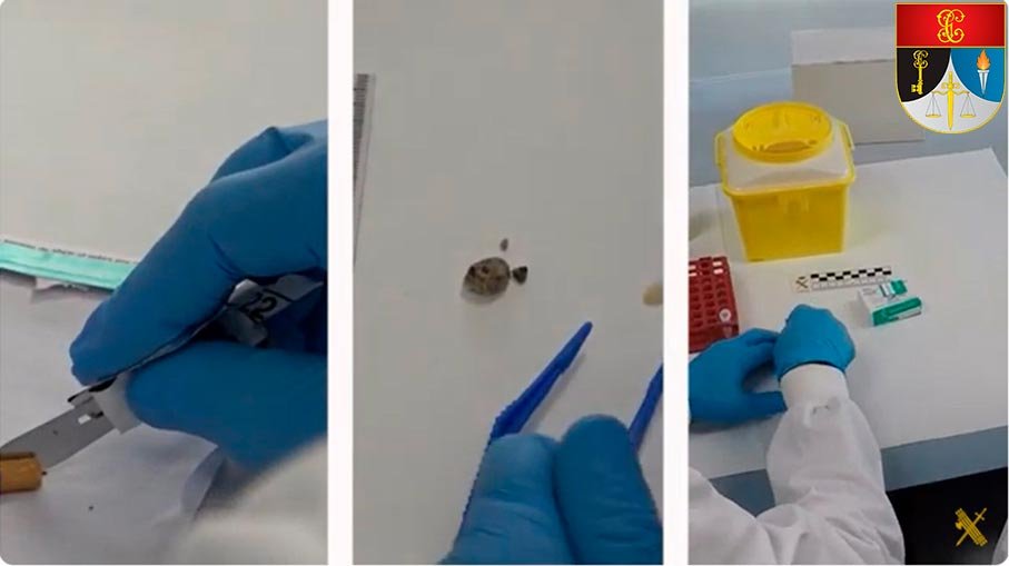 Cotejo de muestras biológicas en laboratorio de criminalística