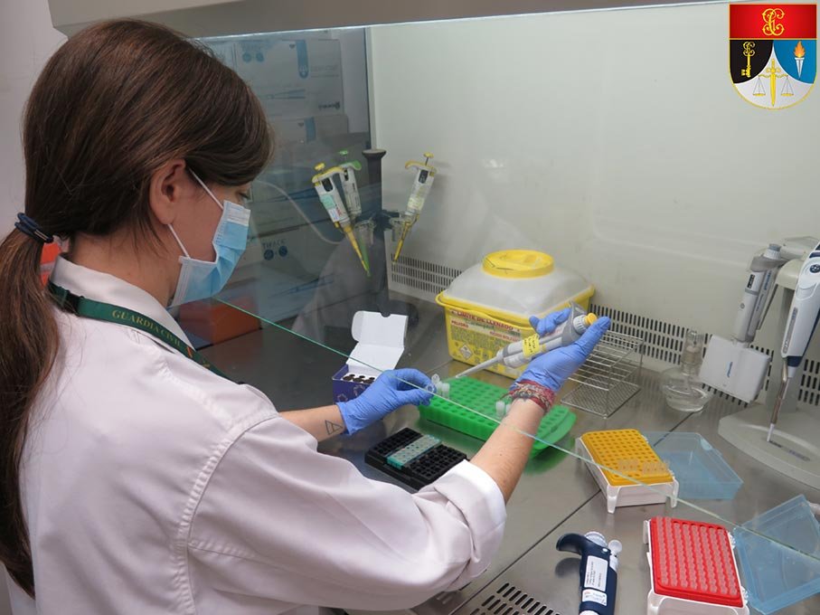 Especialista en Criminalística Biología de la Guardia Civil realizando análisis de muestras en laboratorio forense