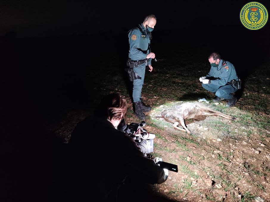 Supervisión técnica desde la Dirección del SEPRONA en actuaciones medioambientales