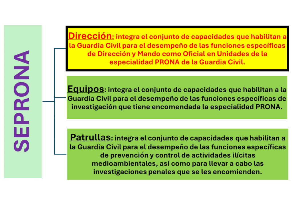 Esquema de la estructura organizativa del SEPRONA de la Guardia Civil