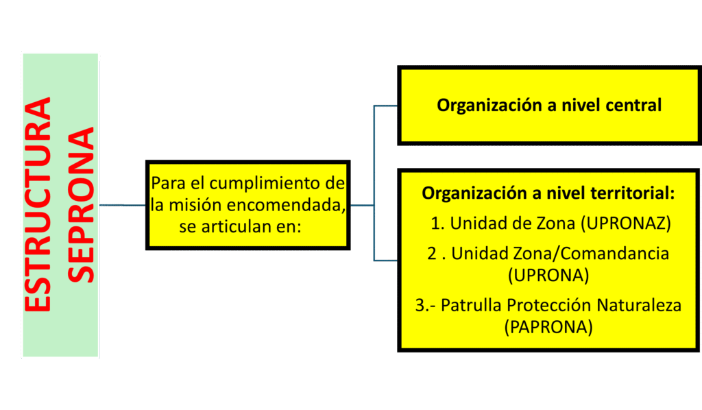 Esquema de las modalidades de la especialidad PRONA en la Guardia Civil