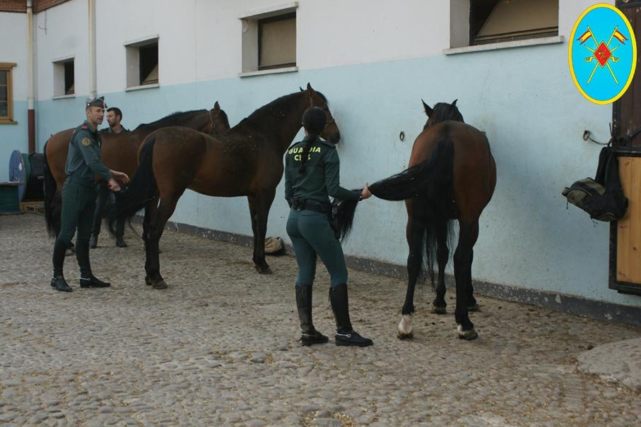 Guardias civiles de la Unidad Ecuestre cuidando caballos