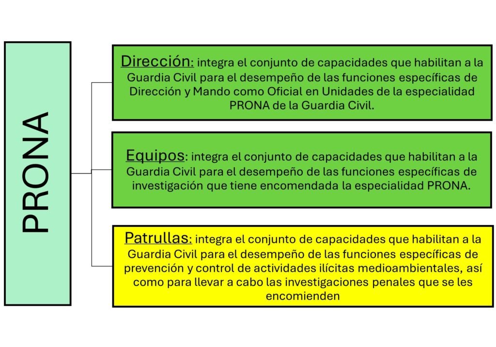 Modalidades de la especialidad PRONA: Dirección, Equipos y Patrullas