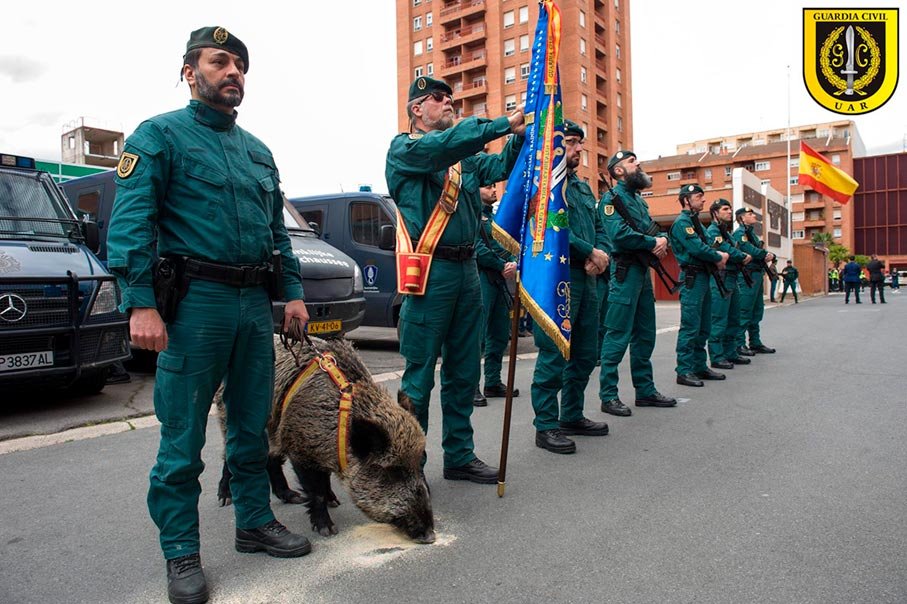 Formación oficial de la UAR Guardia Civil durante acto institucional con bandera y unidad formada.
