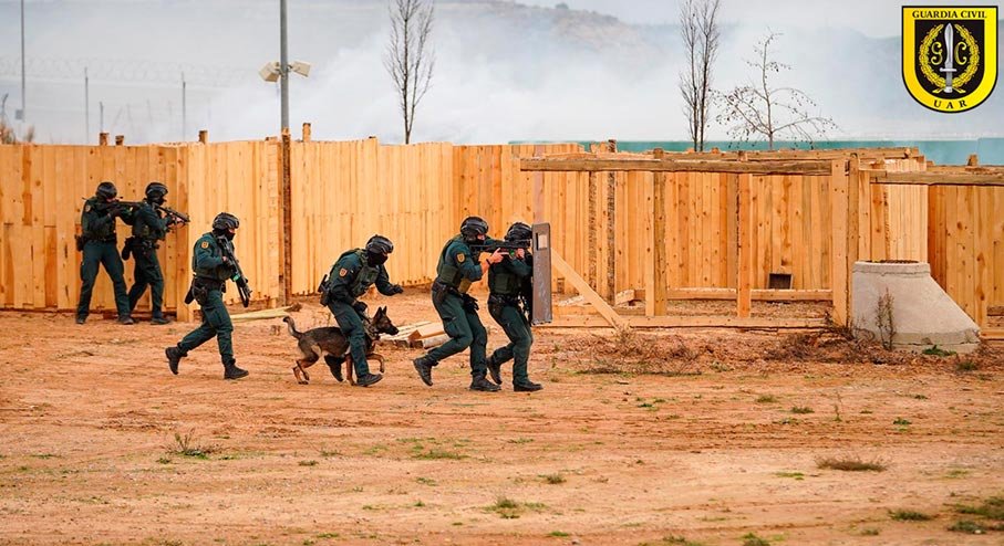 Agentes de la UAR Guardia Civil en entrenamiento táctico con perro de intervención.