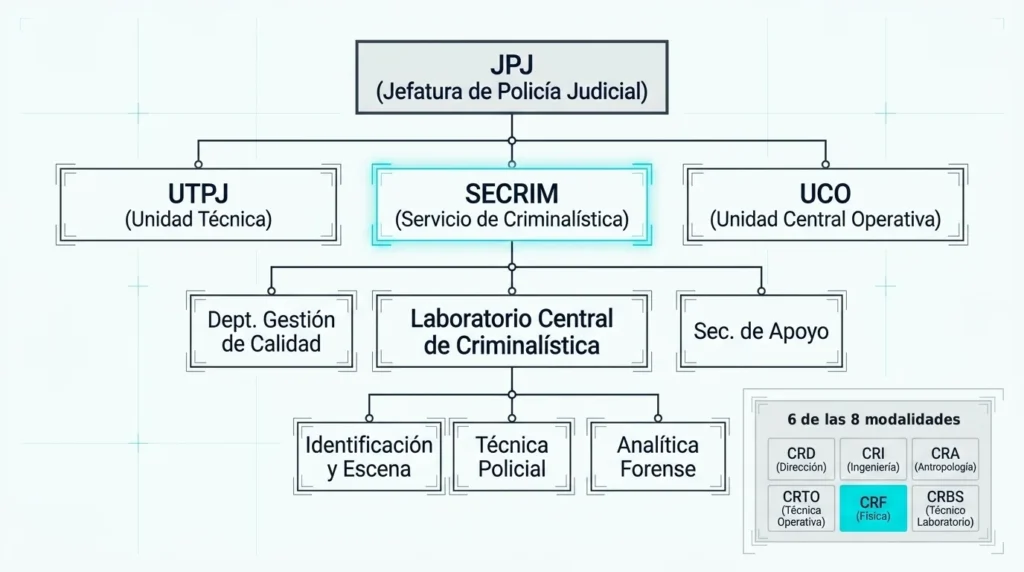 Organigrama de la Jefatura de Policía Judicial con la UTPJ, el SECRIM, la UCO y el Laboratorio Central de Criminalística