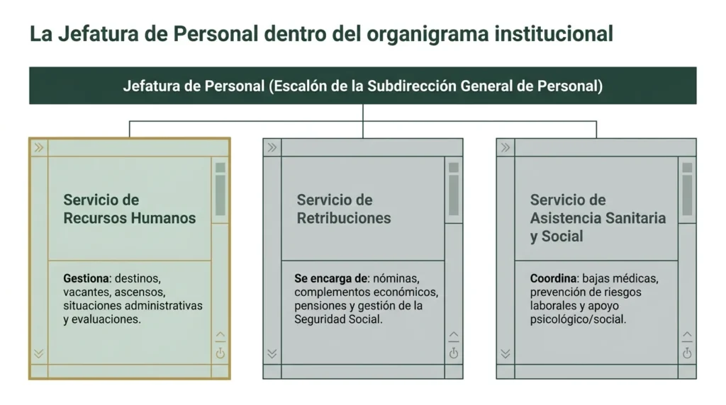 Organigrama de la Jefatura de Personal con los servicios de Recursos Humanos, Retribuciones y Asistencia Sanitaria y Social